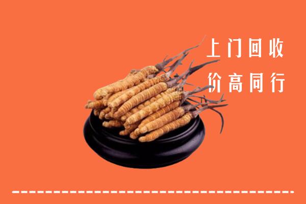 高价求购：阜阳市颍州区回收散虫草