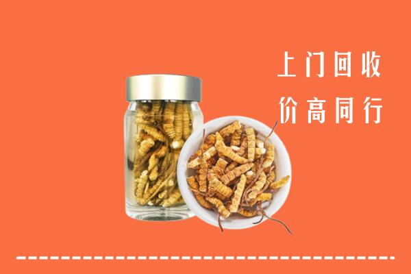 阜阳市颍州区回收冬虫夏草