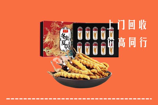 阜阳市颍州区回收虫草